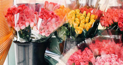 3 Healthy Alternatives to a Traditional Valentine's Day