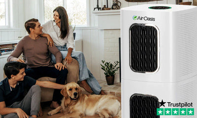 Ionic Air Purifiers