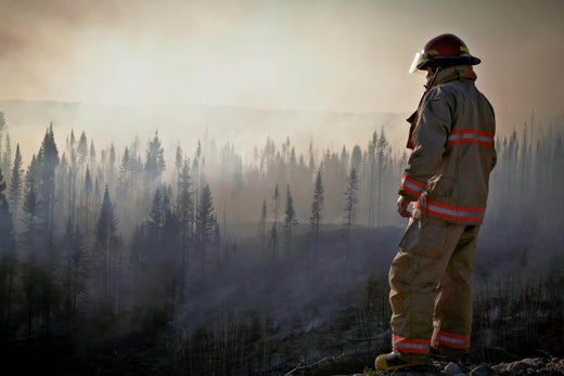 How The Severe LA Fires Impact Air Quality