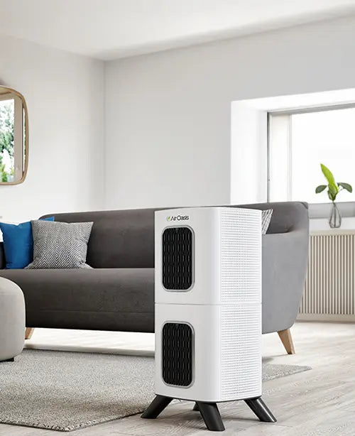 iAdaptAir purifier in a living room with a grey couch, woods floors 