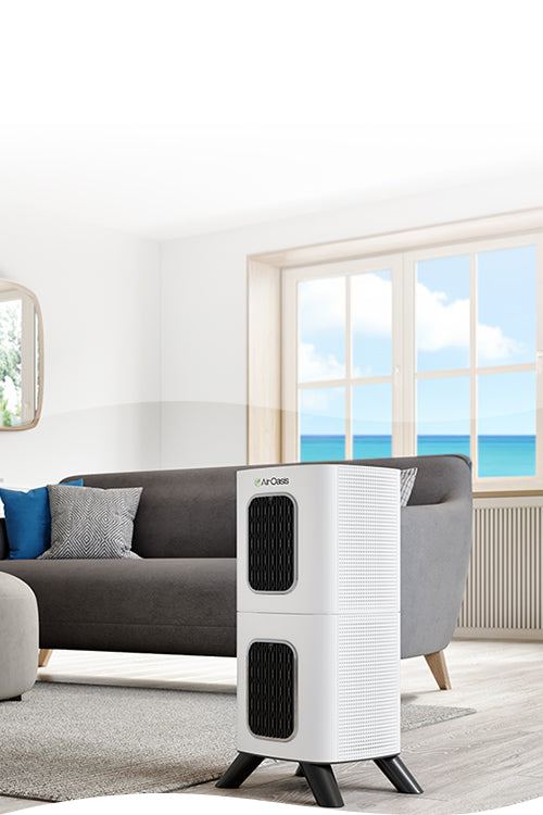 iAdaptAir purifier in a living room with a grey couch, woods floors and ocean view