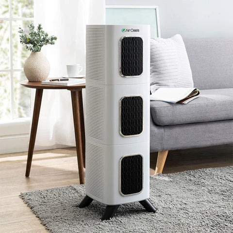 Whole Home Healthy Air Bundle